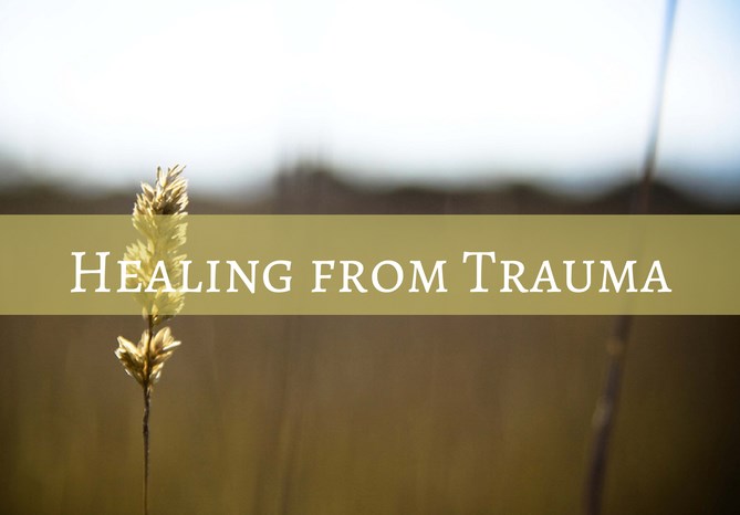 #42: Healing From Trauma