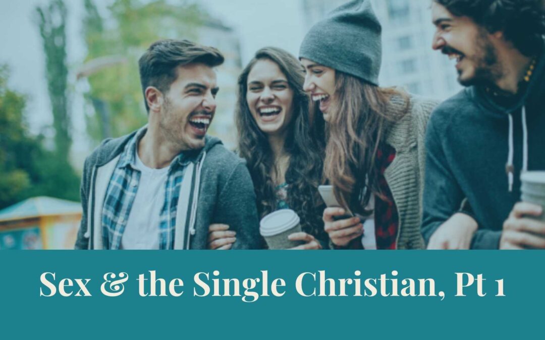 Webinar Series: Sex & the Single Christian, Pt 1