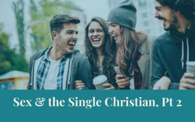 Webinar Series: Sex & the Single Christian, Pt 2