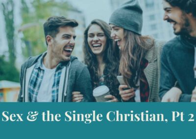 Webinar Series: Sex & the Single Christian, Pt 2