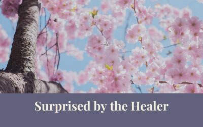 Webinar: Surprised by the Healer