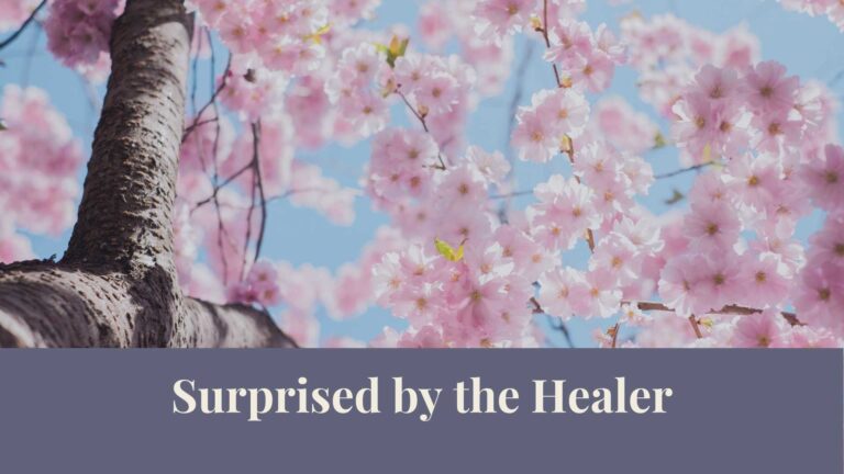 Webinar: Surprised by the Healer